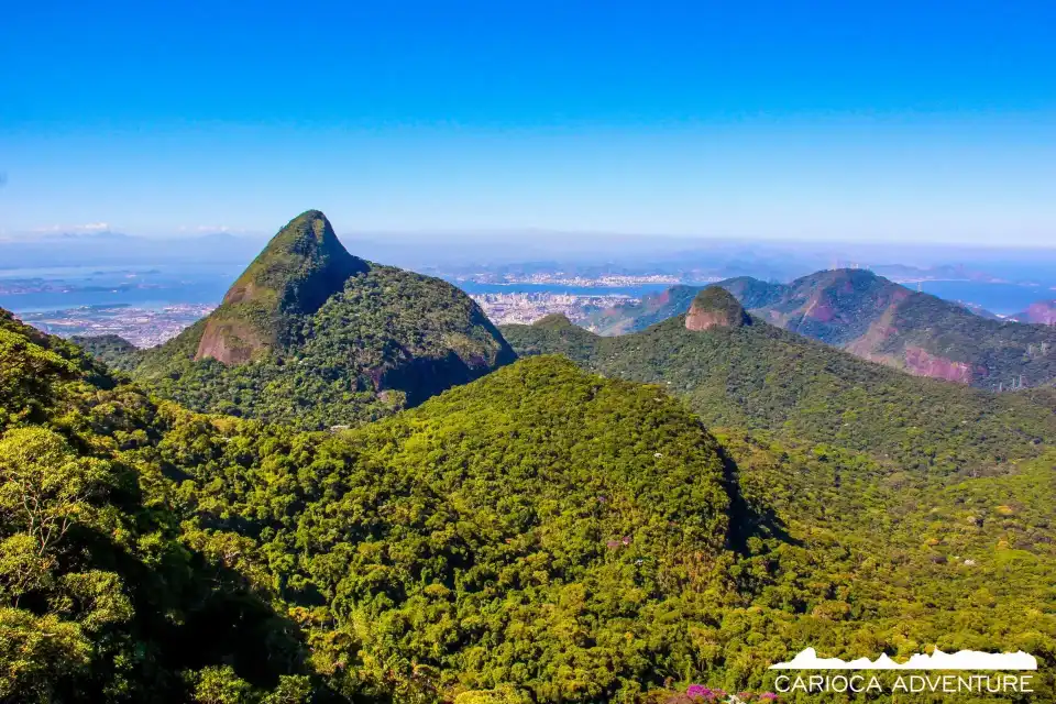Pico da Tijuca